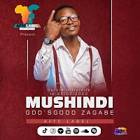 Mushindi/God'sgood Zagabe